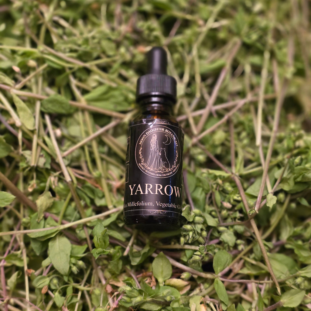 Yarrow