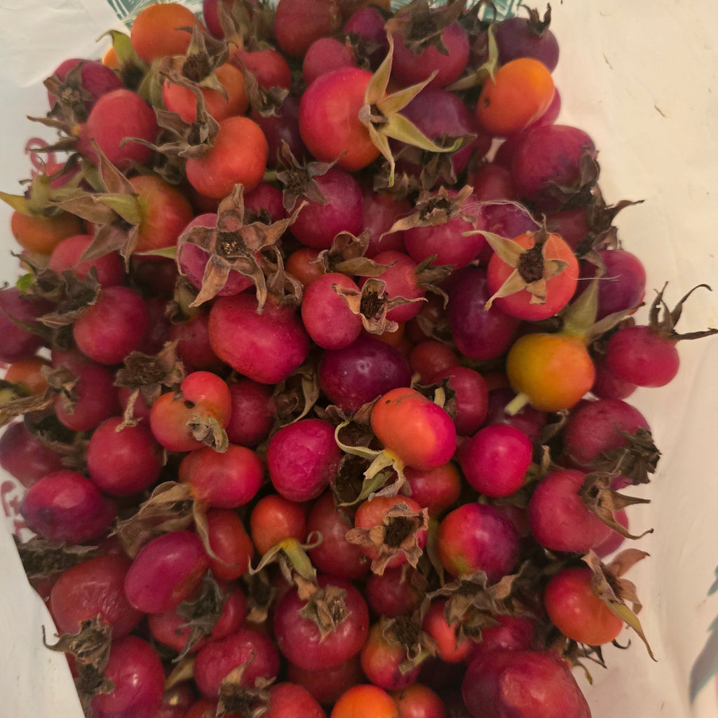rose hips, fresh red and ripe