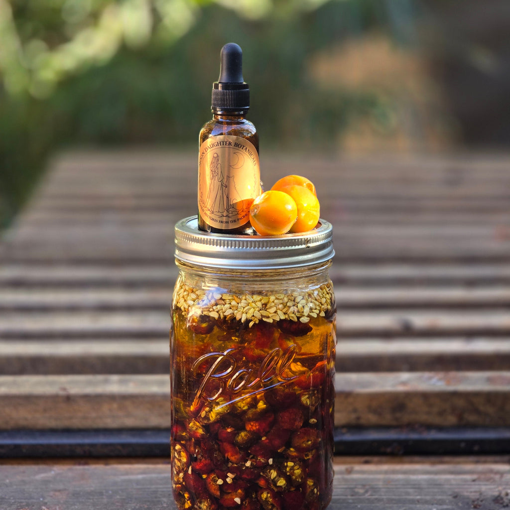 serum bottle rose hip oil, rose hips in jar of oil